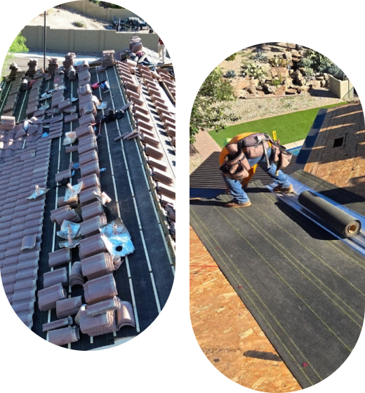 Service Area Coverage